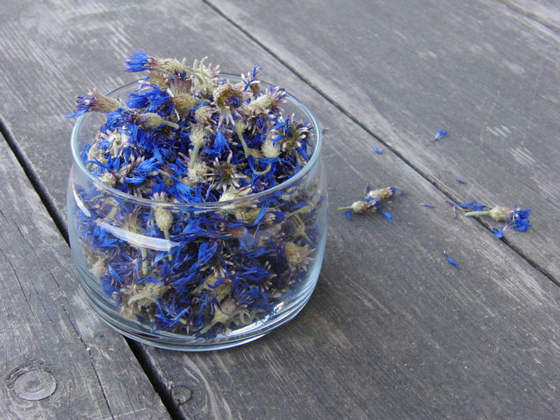 4 старих рецепти молодості з давньої Русі – чому їх не варто робити?