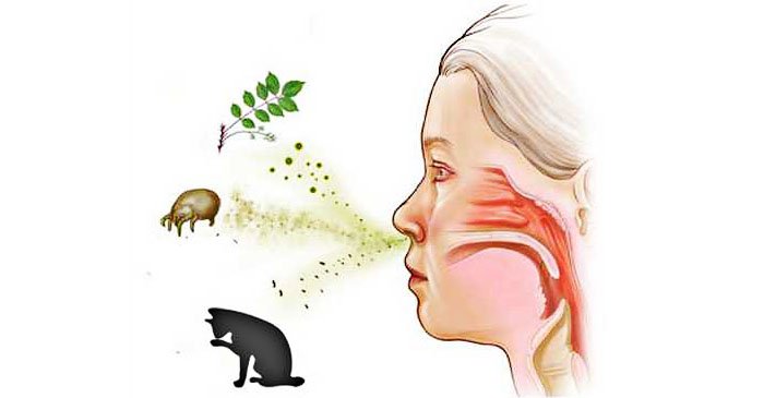 Алергічний риніт чс небезпеку захворювання