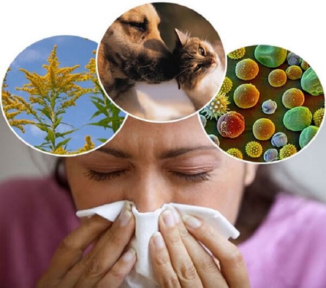 Алергічний риніт причини симптоми і лікування