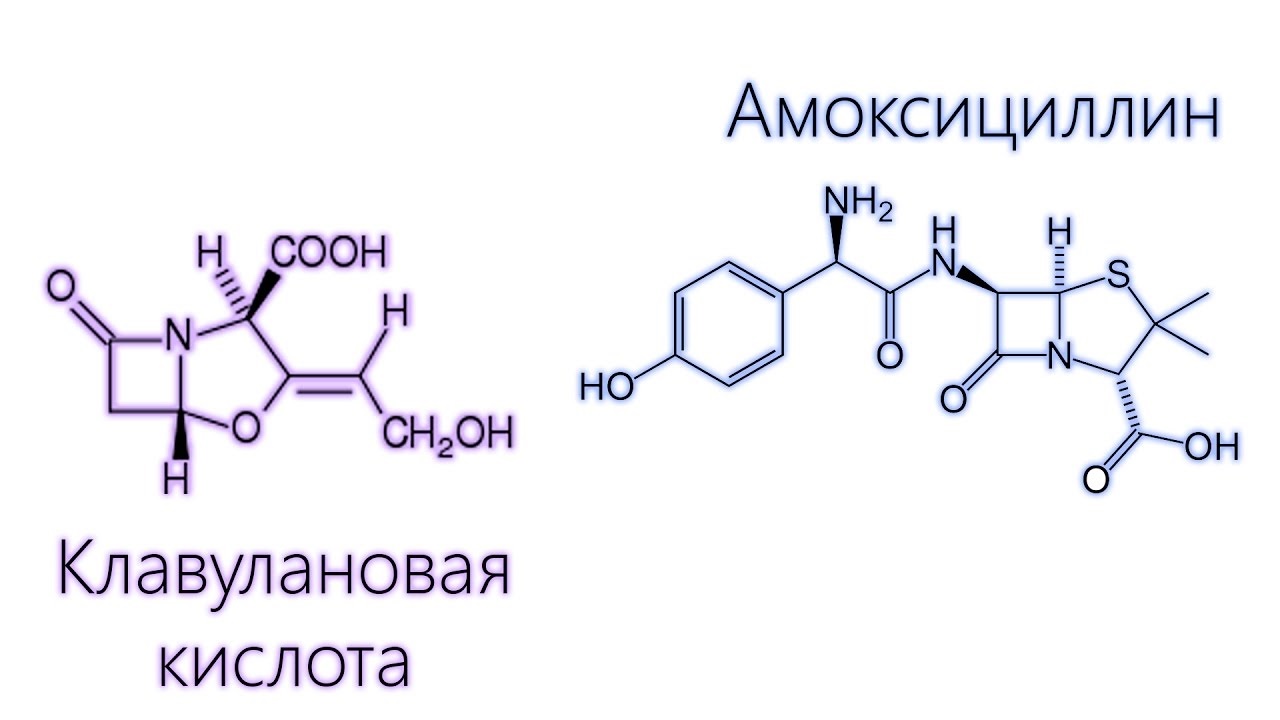 Амоксицилін Клавуланова кислота: інструкція по застосуванню