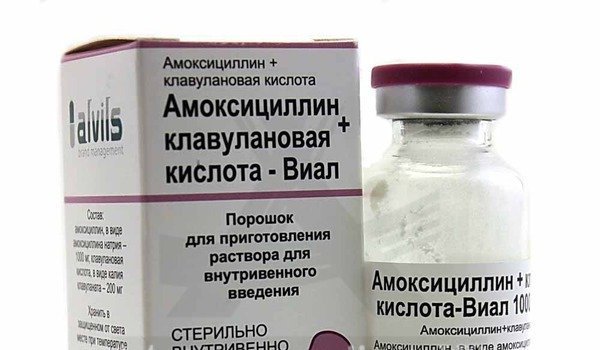 Амоксицилін Клавуланова кислота: інструкція по застосуванню