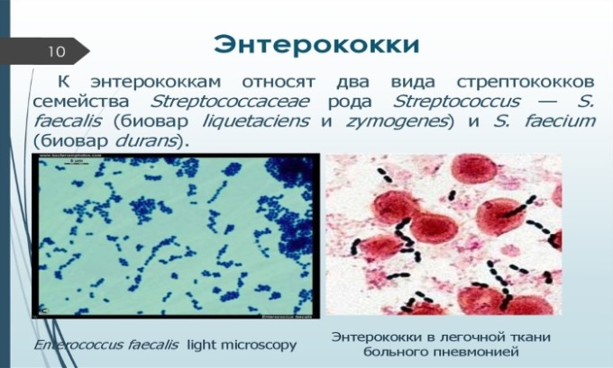 Амоксицилін Клавуланова кислота: інструкція по застосуванню
