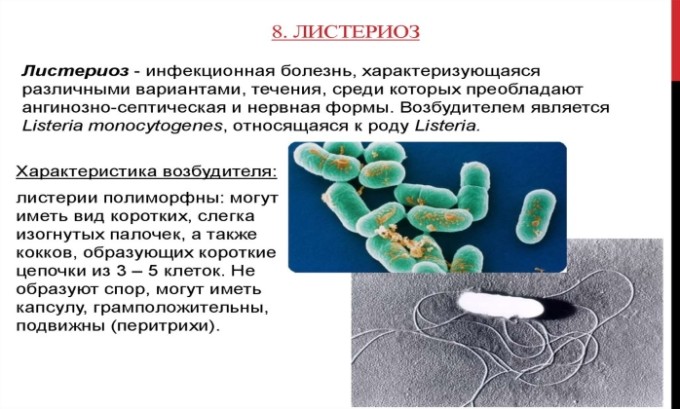 Амоксицилін Клавуланова кислота: інструкція по застосуванню