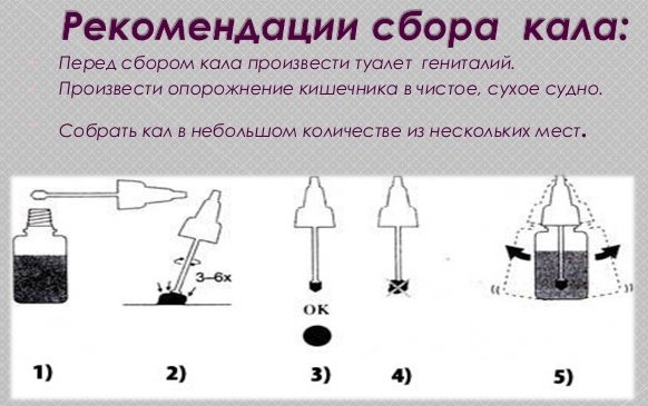 Аналізи крові та калу на глисти у дорослих і дітей. Аналіз калу на яйця глист: як правильно зібрати, як здавати, скільки робиться аналіз калу на яйця глистів?