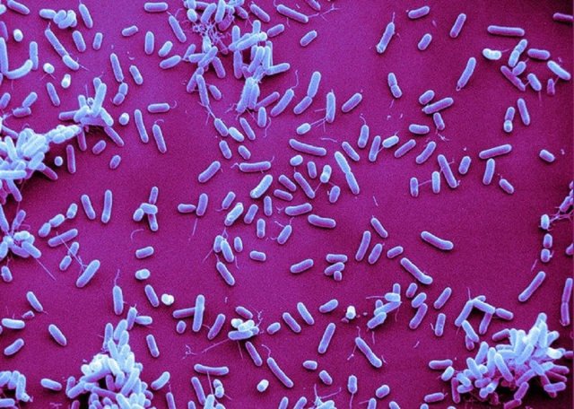 Антибіотик при отиту середнього вуха види та особливості лікування