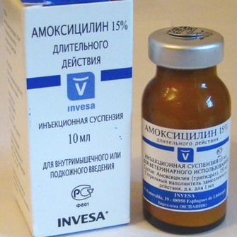 Антибіотики при лікуванні отиту у дорослих і дітей