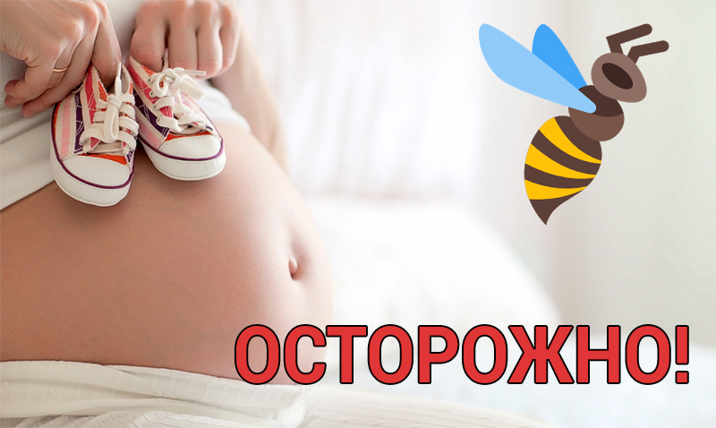 Апітерапія-лікування продуктами бджільництва