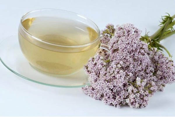 Аритмія серця лікування народними засобами ⋆ Лікування Серця Аритмія серця лікування народними засобами ⋆ Лікування Серця