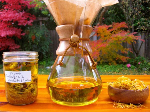 Аритмія серця лікування народними засобами ⋆ Лікування Серця Аритмія серця лікування народними засобами ⋆ Лікування Серця