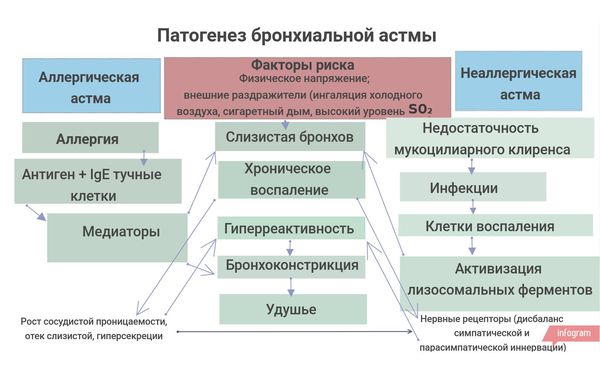 Астма причини симптоми можливе лікування