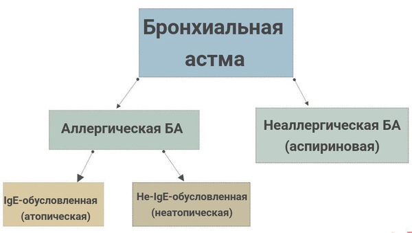 Астма причини симптоми можливе лікування Астма причини симптоми можливе лікування