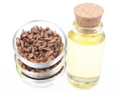 Атакував грибок залишивши білі плями, що це?