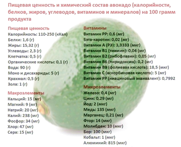 Авокадо — користь і шкода аллигаторовой груші