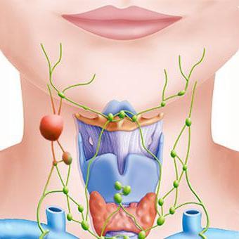 Біль у горлі і запалені лімфовузли: можливі захворювання і методи лікування. Запалені лімфовузли на горлі і дієві методи лікування
