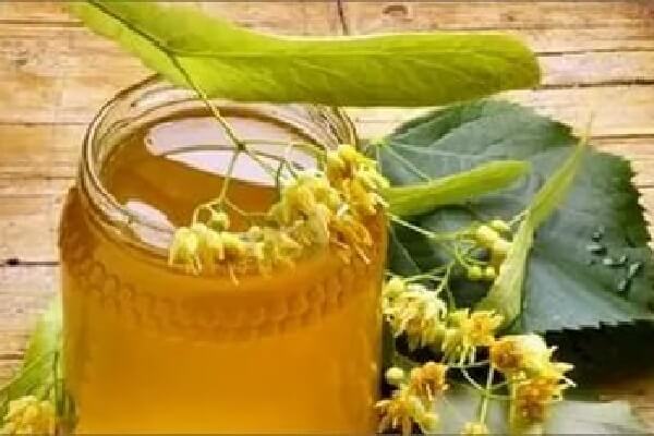 Багатий склад і корисні властивості липового меду Продукція бджільництва