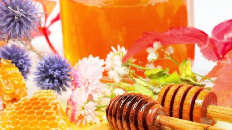 Багатий склад і корисні властивості липового меду Продукція бджільництва