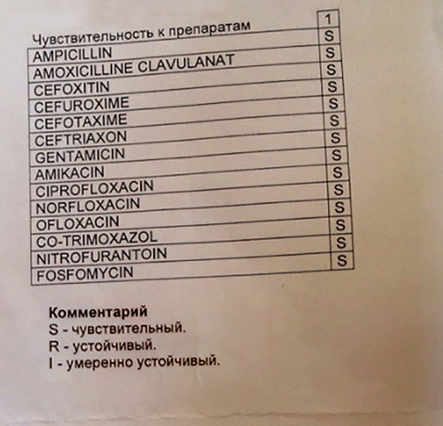 Бак аналіз сечі що це таке