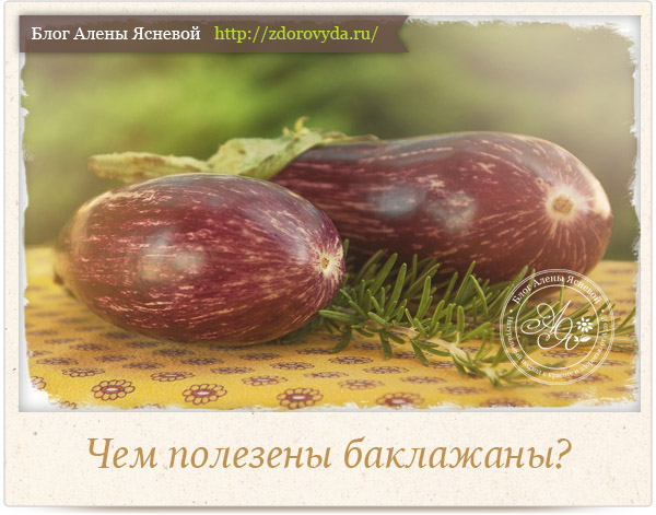 БАКЛАЖАНИ користь і шкода ДЛЯ ЗДОРОВ’Я ЛЮДИНИ