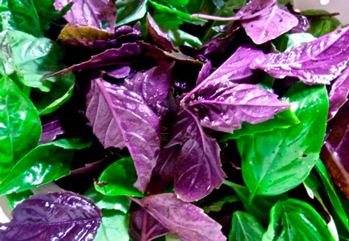 Базилік для шкіри обличчя