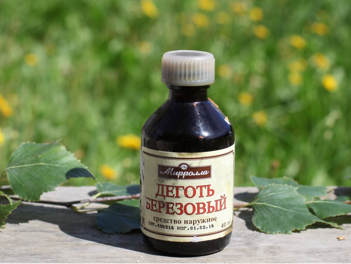 Березовий дьоготь застосування всередину користь і шкода