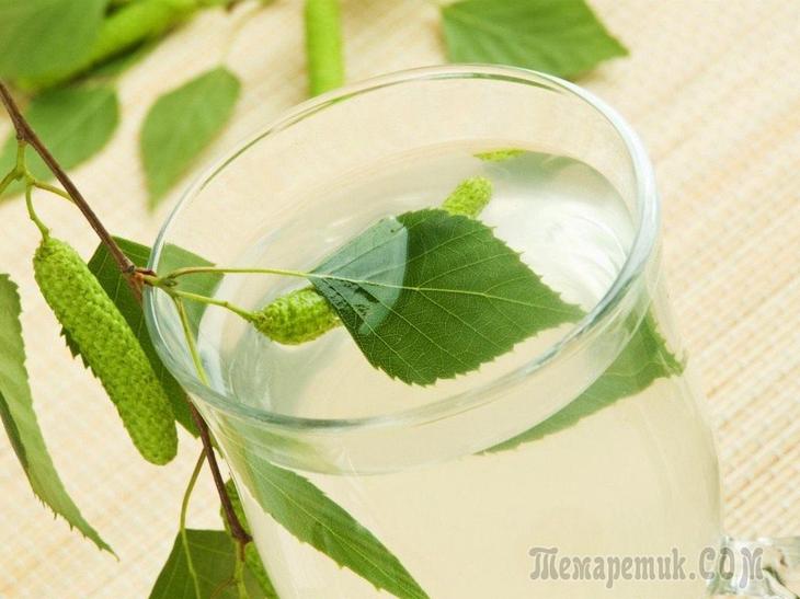 Березовий сік користь та шкоду як пити