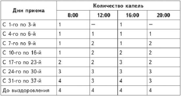 Болиголов лікувальні властивості і побічні ефекти