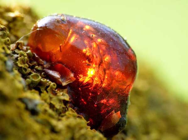 Бурштинова кислота для обличчя, інструкція по застосуванню, корисні властивості