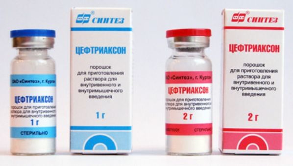 Цефтріаксон при гаймориті