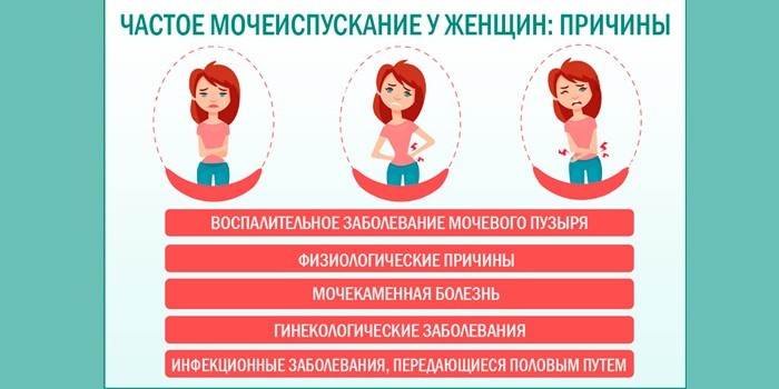 Часте хворобливе сечовипускання у жінок причини і що робити