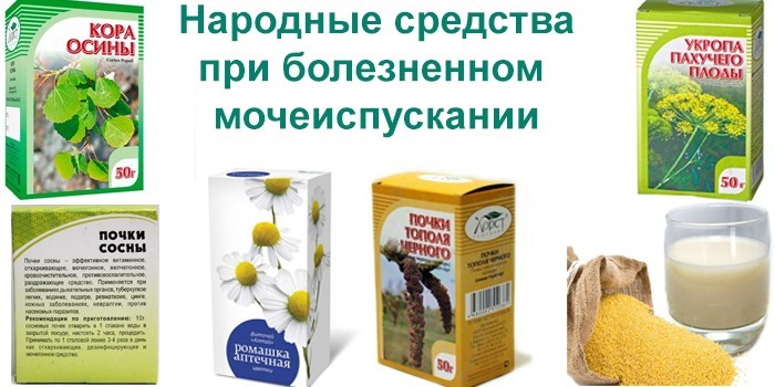 Часте хворобливе сечовипускання у жінок причини і що робити