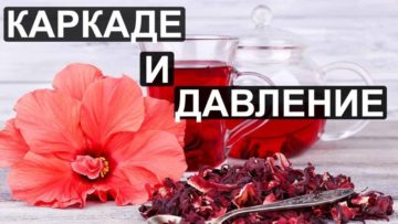 Чай каркаде користь і шкода при тиску