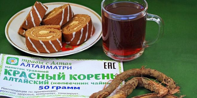 Червоний корінь лікувальні властивості і протипоказання червоний корінь настоянка