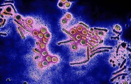Чи можна при кашлі у дітей робити інгаляції з Мірамістином через небулайзер
