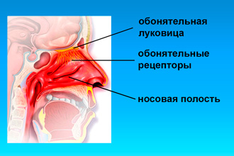 Чи можна при нежиті гріти ніс