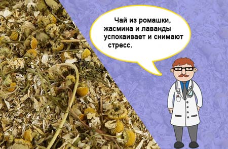 Чи можна при вагітності пити ромашку?
