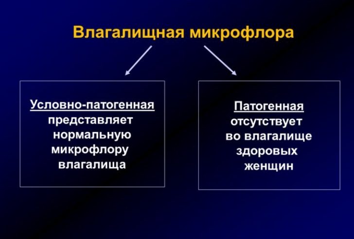 Чим можна вилікувати бактеріальний вагініт