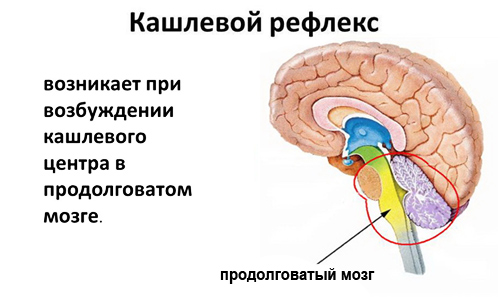 Чим небезпечний безперервний кашель у дитини