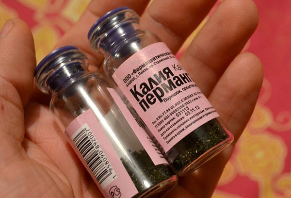 Чим обробити огірки від хвороб і шкідників народними засобами