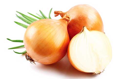 Чим обробляти укуси комарів і мошок?