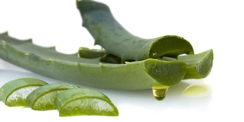 Чим обробляти укуси комарів і мошок?