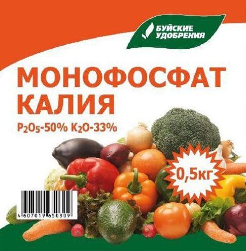 Чим підживити полуницю під час цвітіння • удобрюємо полуницю влітку