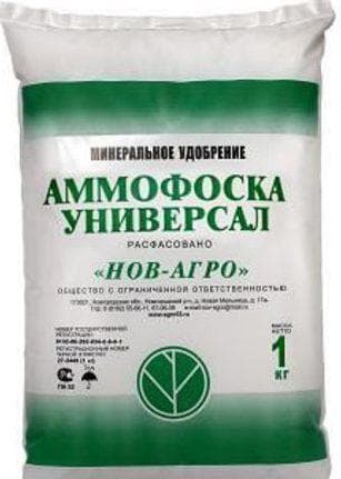 Чим підживити полуницю під час цвітіння • удобрюємо полуницю влітку