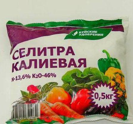 Чим підживити полуницю під час цвітіння • удобрюємо полуницю влітку