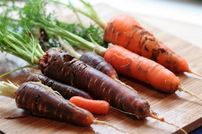 Чим полити моркву від морквяної мухи, Чим бризкати