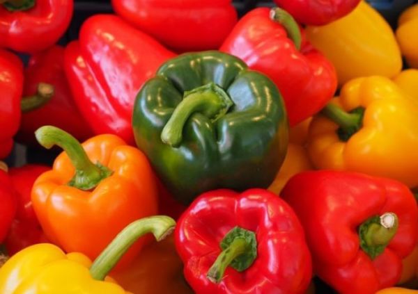 Чим полити перці для зростання народними засобами