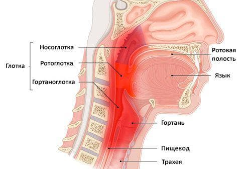 Чим і як лікувати запалення носоглотки