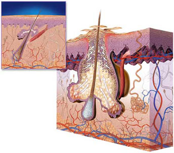 Чому болять прищі