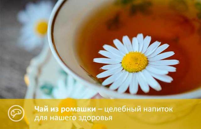 Чому корисна ромашка при застуді