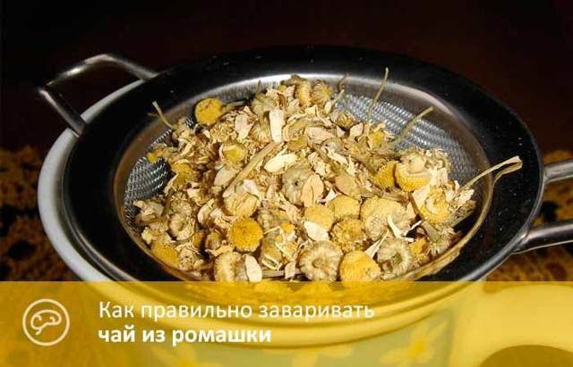 Чому корисна ромашка при застуді