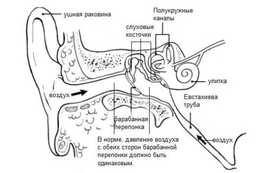 Чому небезпечно закапувати очні краплі Цикломед в ніс